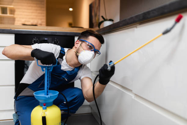 Best Residential Pest Control  in Dripping Springs, TX