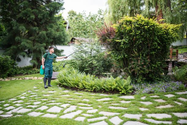 Best Affordable Pest Control Services  in Dripping Springs, TX